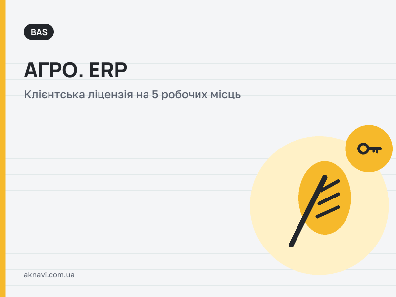 BAS ����. ERP, �볺������ ������ �� 5 ������� ����