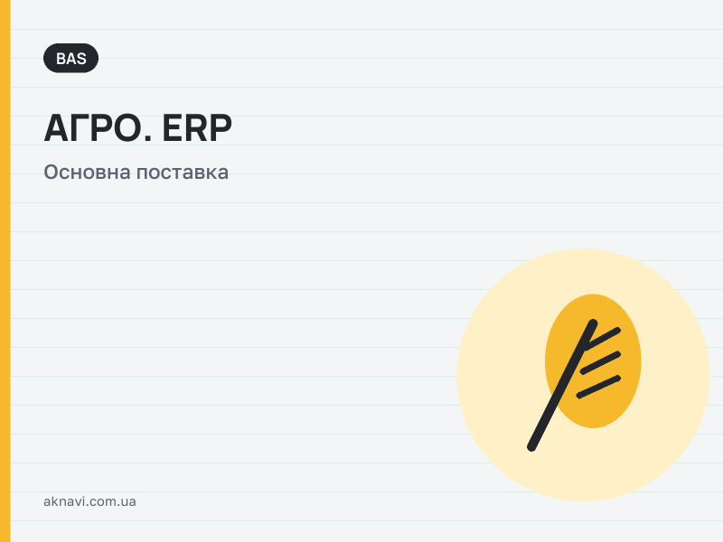 BAS ����. ERP